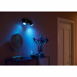 Plafonnier Philips Hue Fugato LED Noir, 2 lumières, Changeur de couleurs