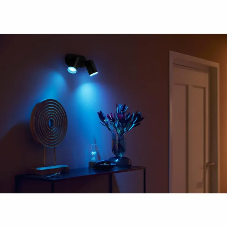 Plafonnier Philips Hue Fugato LED Noir, 2 lumières, Changeur de couleurs