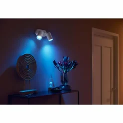 Plafonnier Philips Hue Fugato LED Blanc, 2 lumières, Changeur de couleurs