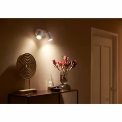 Plafonnier Philips Hue Fugato LED Blanc, 2 lumières, Changeur de couleurs