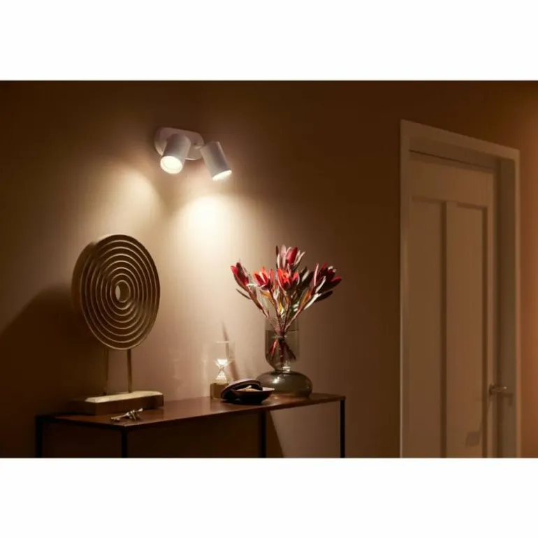 Plafonnier Philips Hue Fugato LED Blanc, 2 lumières, Changeur de couleurs