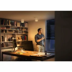 Plafonnier Philips Hue Pillar LED Blanc, 1 lumière