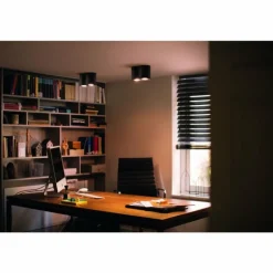 Plafonnier Philips Hue Pillar LED Noir, 2 lumières, Télécommandes