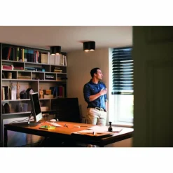 Plafonnier Philips Hue Pillar LED Noir, 2 lumières, Télécommandes