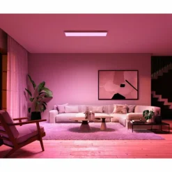Plafonnier Philips Hue Surimu LED Blanc, 1 lumière, Changeur de couleurs