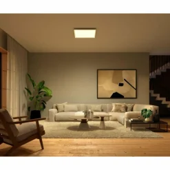 Plafonnier Philips Hue Surimu LED Blanc, 1 lumière, Changeur de couleurs