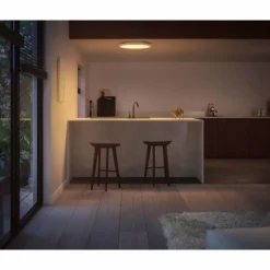 Plafonnier Philips Hue Surimu LED Blanc, 1 lumière