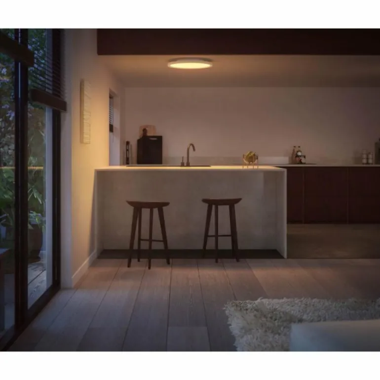 Plafonnier Philips Hue Surimu LED Blanc, 1 lumière