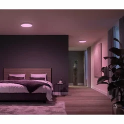 Plafonnier Philips Hue Surimu LED Blanc, 1 lumière