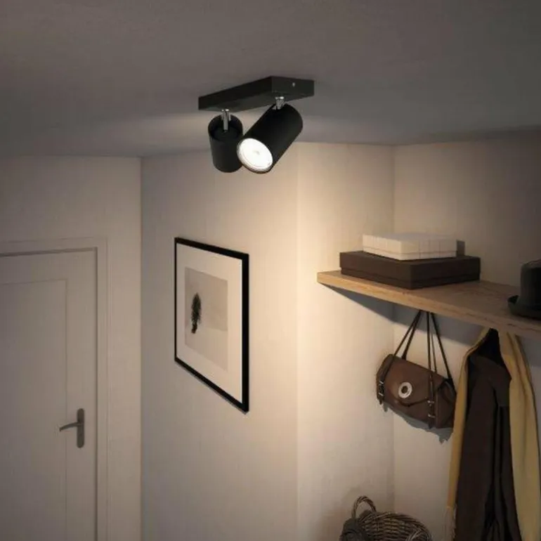 Plafonnier Philips Kosipo Noir, 2 lumières