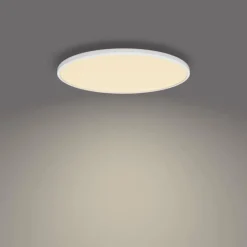 Plafonnier Philips Ozziet LED Blanc, 1 lumière