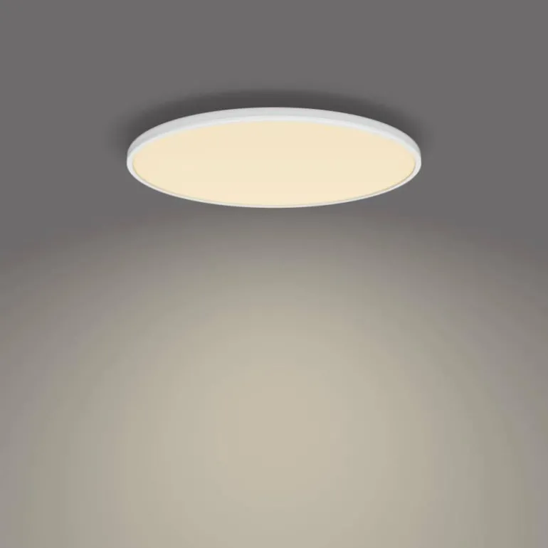 Plafonnier Philips Ozziet LED Blanc, 1 lumière
