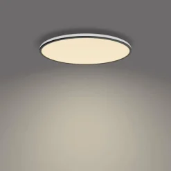 Plafonnier Philips Ozziet LED Noir, Blanc, 1 lumière