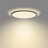 Plafonnier Philips Ozziet LED Noir, Blanc, 1 lumière