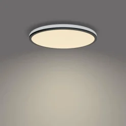 Plafonnier Philips Ozziet LED Noir, Blanc, 1 lumière