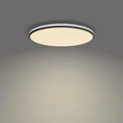 Plafonnier Philips Ozziet LED Noir, Blanc, 1 lumière