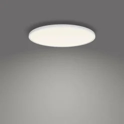Plafonnier Philips Ozziet LED Blanc, 1 lumière