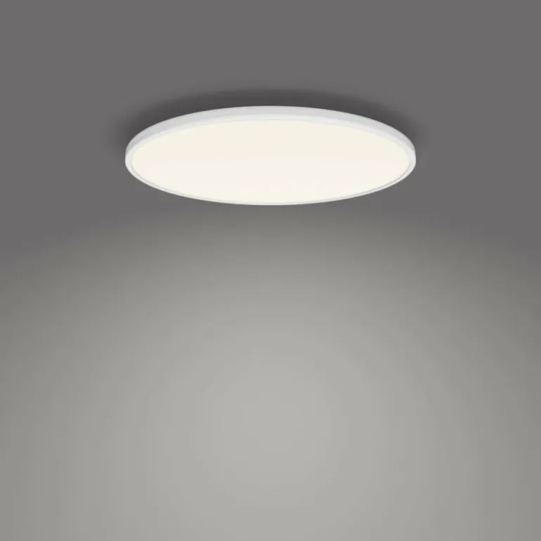 Plafonnier Philips Ozziet LED Blanc, 1 lumière
