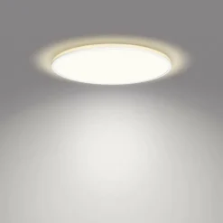 Plafonnier Philips Ozziet LED Blanc, 1 lumière