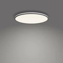 Plafonnier Philips Ozziet LED Noir, Blanc, 1 lumière