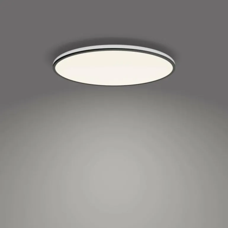 Plafonnier Philips Ozziet LED Noir, Blanc, 1 lumière
