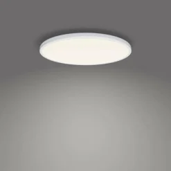 Plafonnier Philips Ozziet LED Blanc, 1 lumière