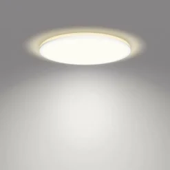 Plafonnier Philips Ozziet LED Blanc, 1 lumière