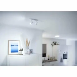 Plafonnier Philips WiZ IMAGEO LED Blanc, 2 lumières