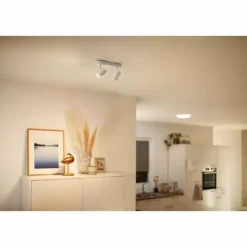 Plafonnier Philips WiZ IMAGEO LED Blanc, 2 lumières