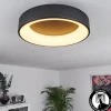 Plafonnier Pine LED Noir, 1 lumière