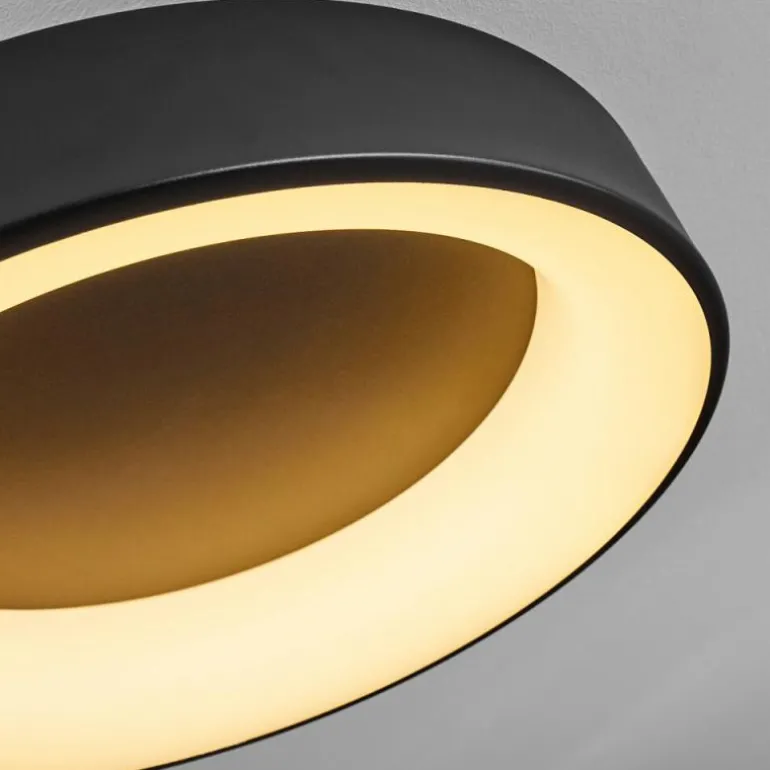 Plafonnier Pine LED Noir, 1 lumière