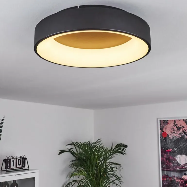 Plafonnier Pine LED Noir, 1 lumière