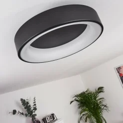 Plafonnier Pine LED Noir, 1 lumière