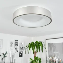 Plafonnier Playas LED Argenté, Blanc, 1 lumière