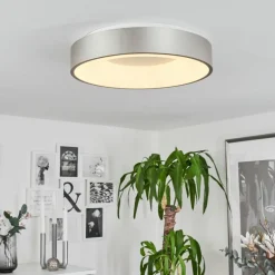 Plafonnier Playas LED Argenté, Blanc, 1 lumière