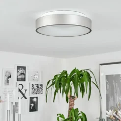Plafonnier Playas LED Argenté, Blanc, 1 lumière