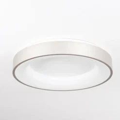 Plafonnier Playas LED Argenté, Blanc, 1 lumière