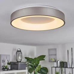 Plafonnier Playas LED Argenté, Blanc, 1 lumière