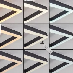 Plafonnier Pourao LED Noir, Blanc, 1 lumière, Télécommandes