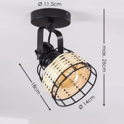 Plafonnier Recinto Noir, 1 lumière