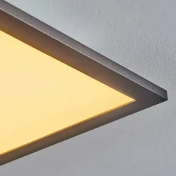 Plafonnier Ringuelet LED Noir, Blanc, 1 lumière, Télécommandes