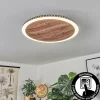 Plafonnier Rocha LED Brun, Couleur bois, Noir, 1 lumière