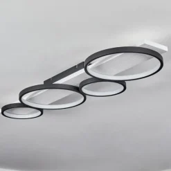 Plafonnier Rodekro LED Noir, Blanc, 1 lumière