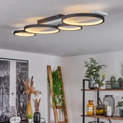 Plafonnier Rodekro LED Noir, Blanc, 1 lumière