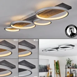 Plafonnier Rodekro LED Noir, Argenté, 1 lumière