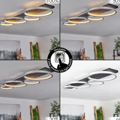 Plafonnier Rodekro LED Noir, Argenté, 1 lumière