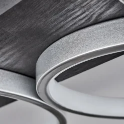 Plafonnier Rodekro LED Noir, Argenté, 1 lumière