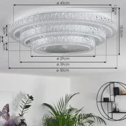 Plafonnier Roseto LED Transparent, Blanc, 1 lumière, Télécommandes