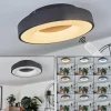 Plafonnier Sachseln LED Noir, 1 lumière