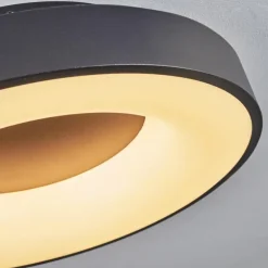 Plafonnier Sachseln LED Noir, 1 lumière